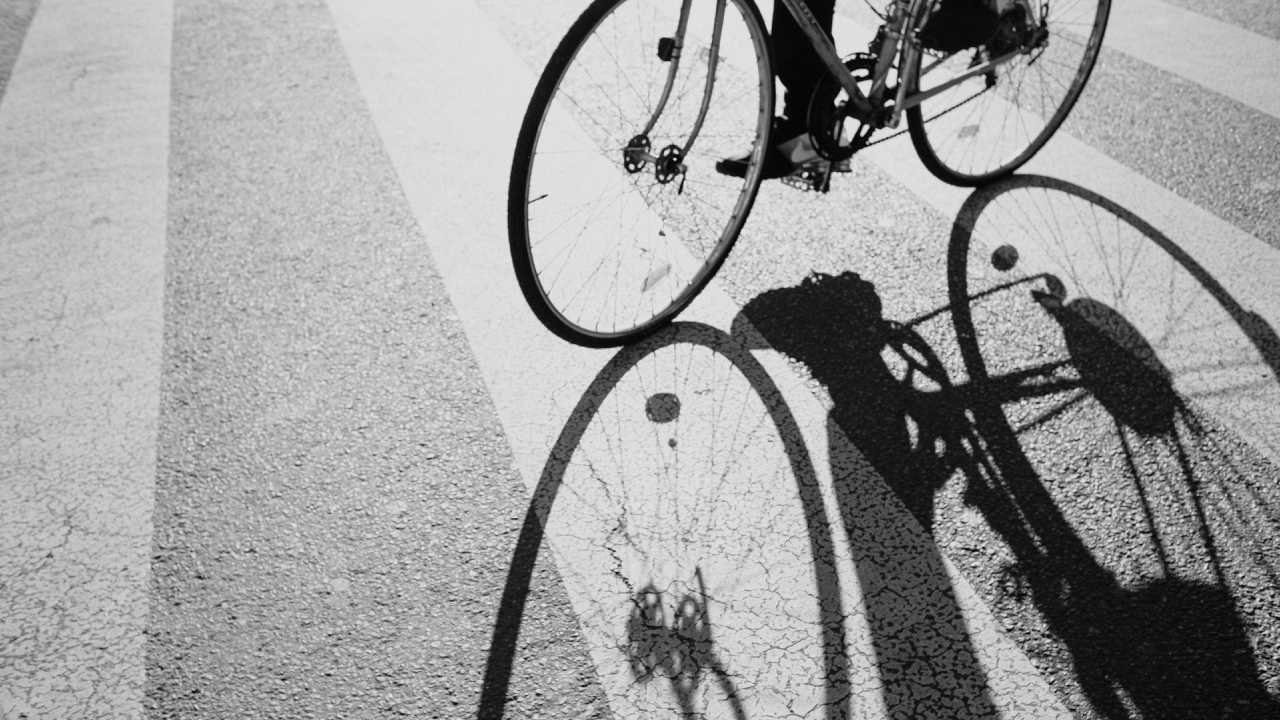 Municipal Liability in Urban Cycling Injuries: Legal Theory vs. Legal Reality
